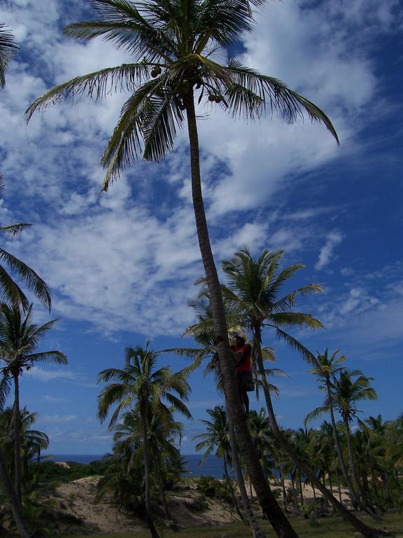 Blue Moon Beach Holiday Resort Inhambane Exteriér fotografie